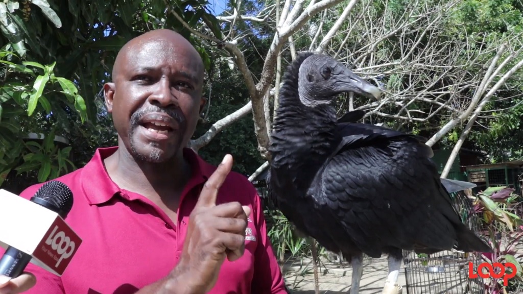 Treasuring and protecting our&nbsp;biodiversity